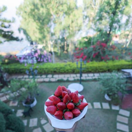 Valleycrest Villa With Swimming Pool Mahābaleshwar Dış mekan fotoğraf